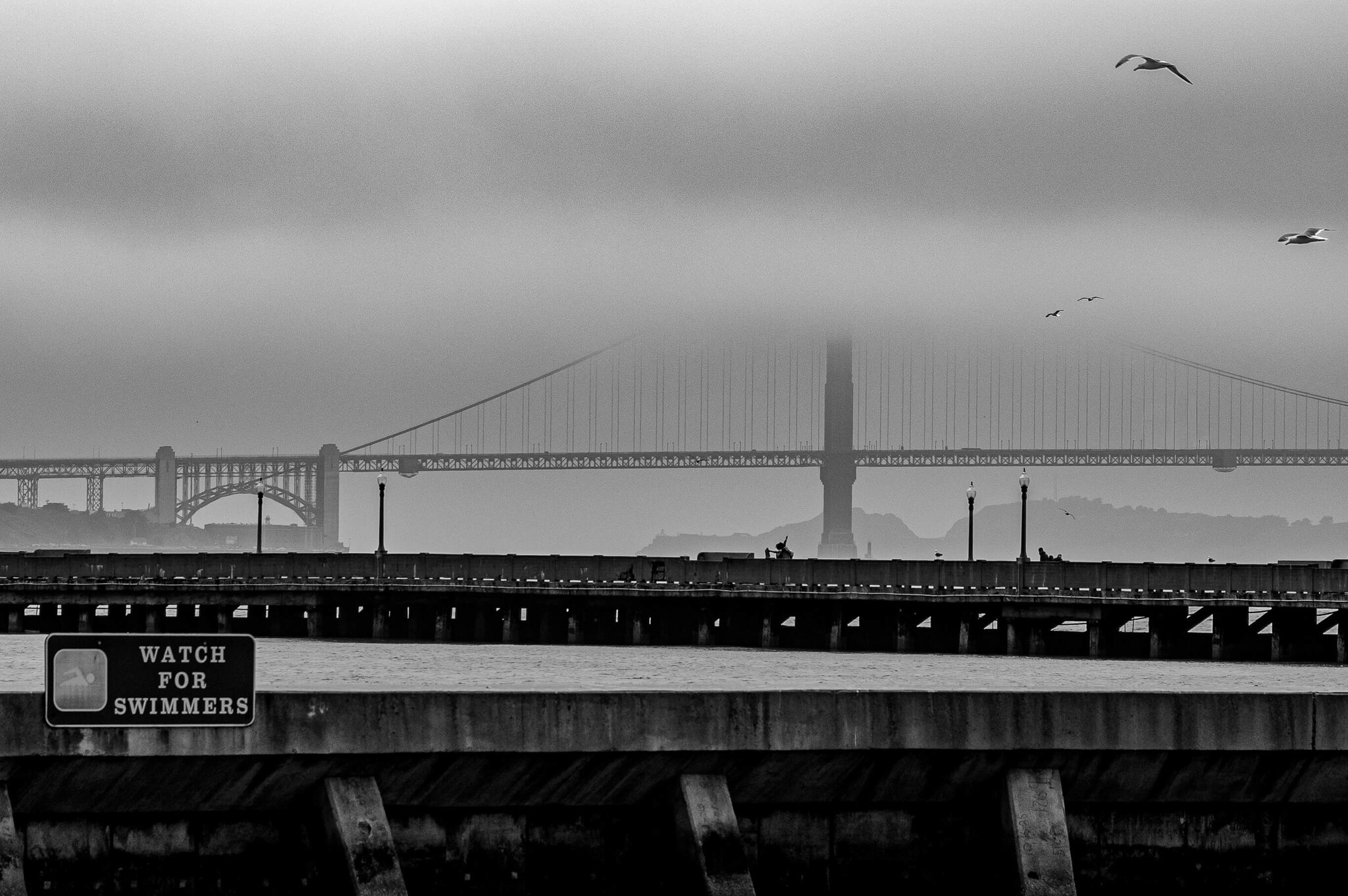 Bridge in the Mist