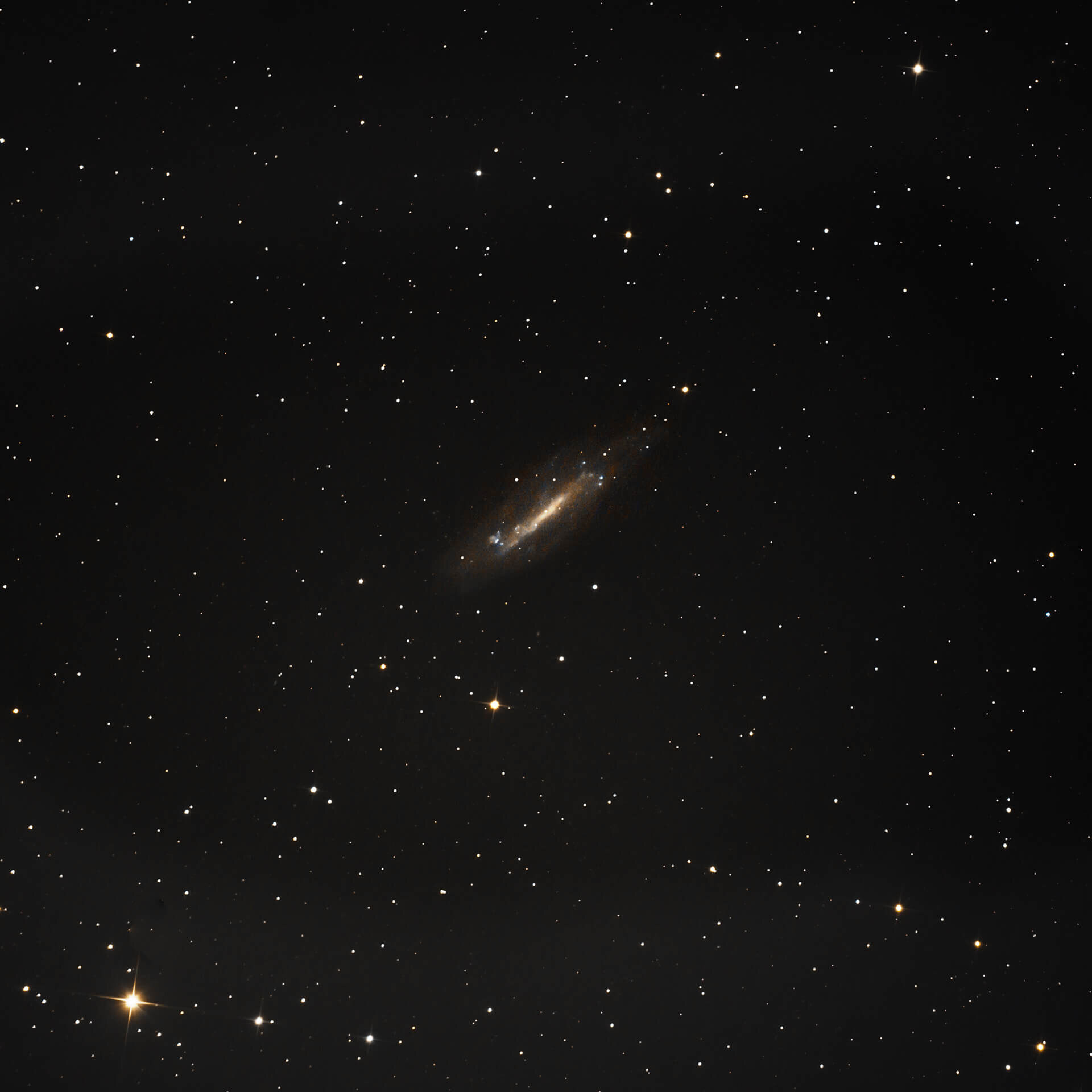 Barred Spiral Galaxy
