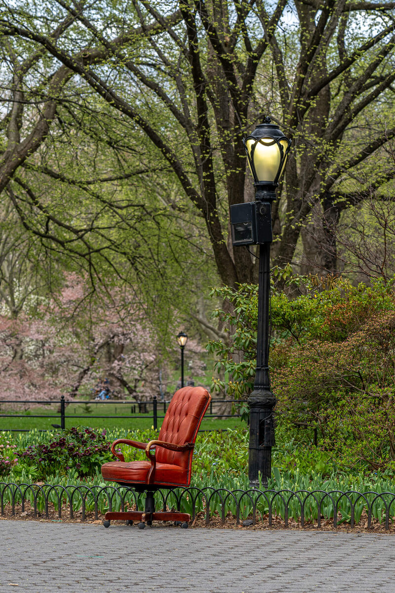 Red Armchair by the Central Park Lamp