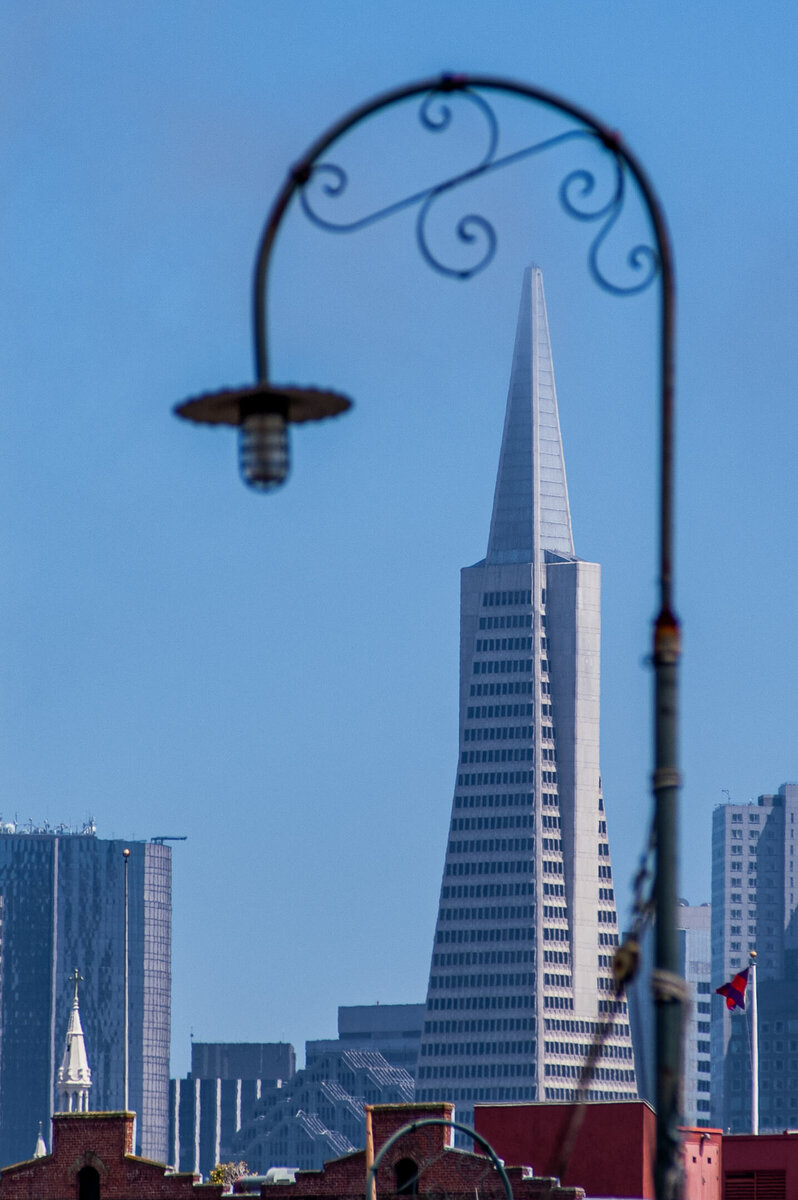 Transamerica Pyramid Against the Blue Sky