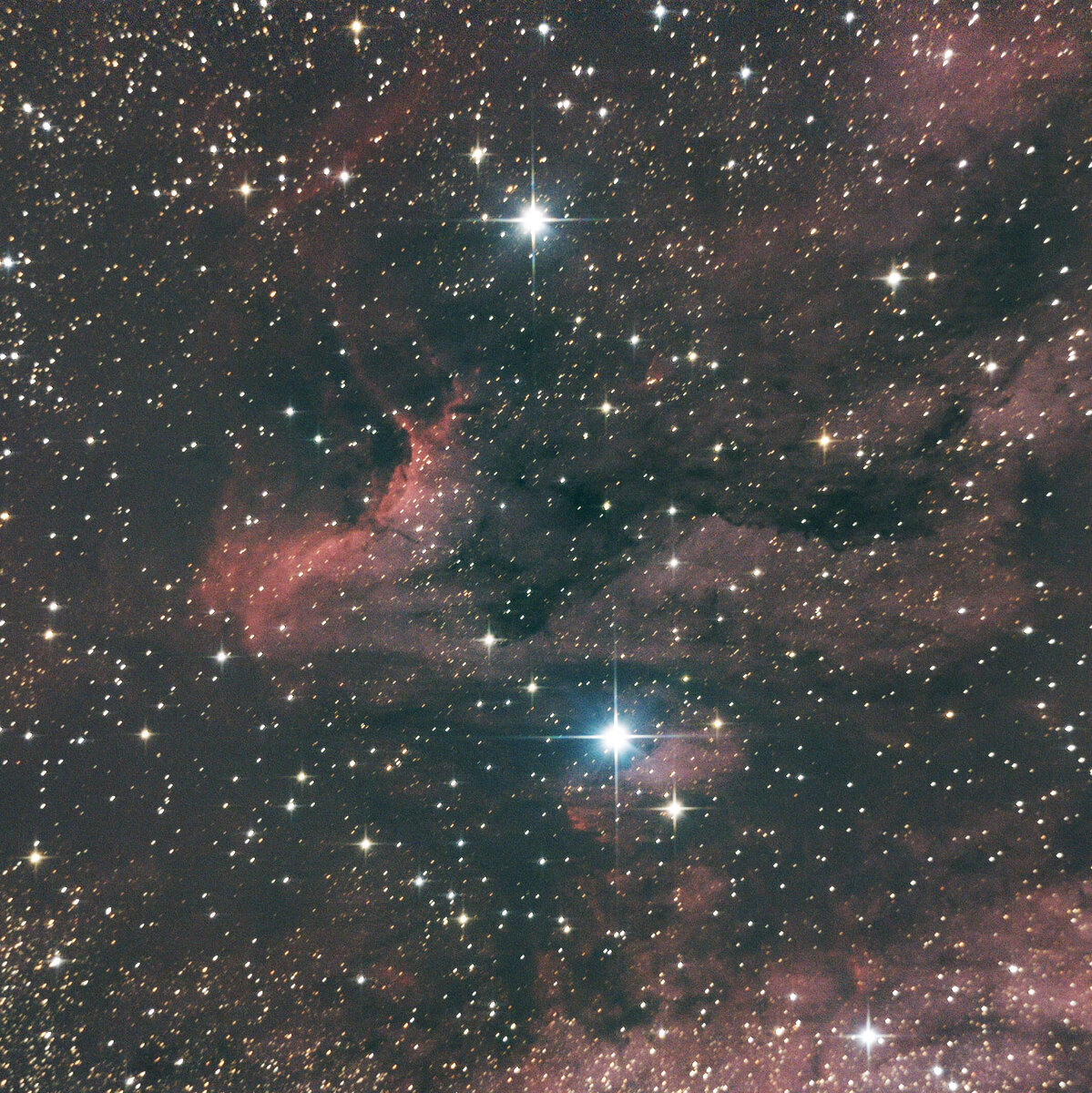 Pelican Nebula