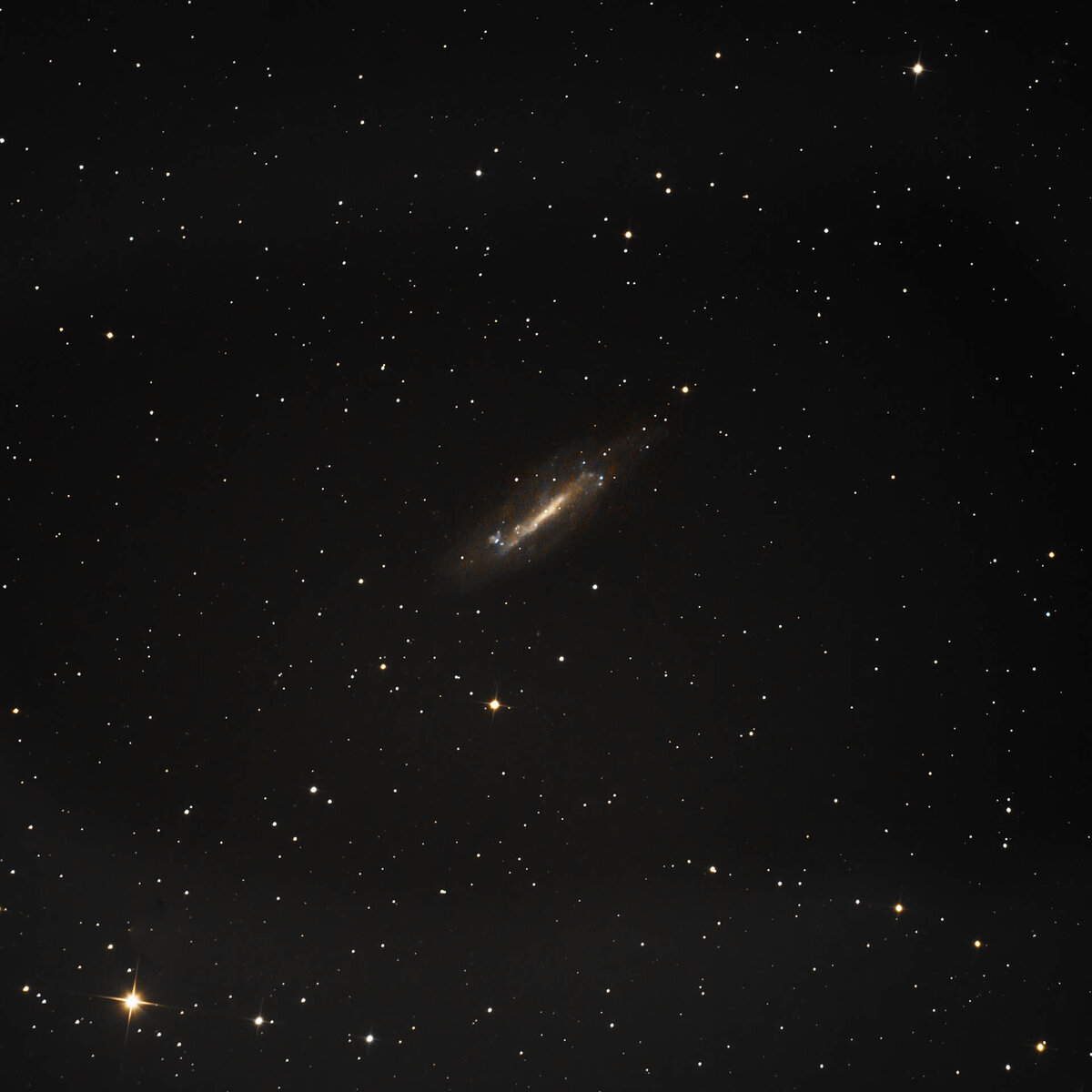 Barred Spiral Galaxy